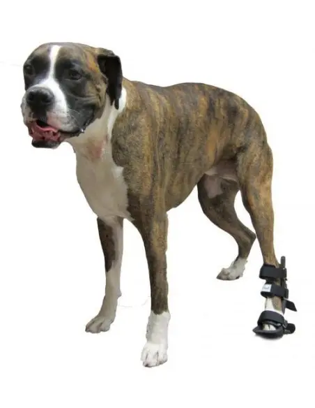 Férula Posterior para Perros - Férulas ortopédicas -65,50 € Novecan