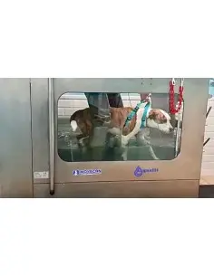 Cinta subacuática de rehabilitación para perros y gatos