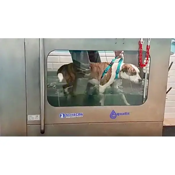 Cinta subacuática de rehabilitación para perros - Hidroterapia para Perros -0,00 € Novecan