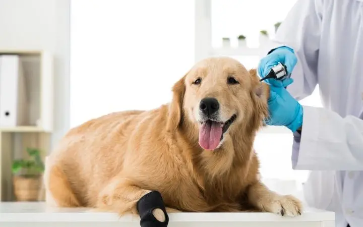 Ortopedia y Ayudas Técnicas