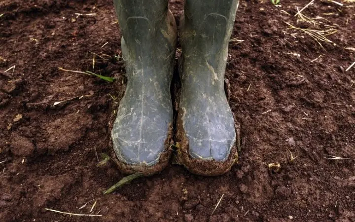 Botas De Caucho para Perros