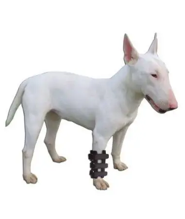 Ferula Carpal Canina