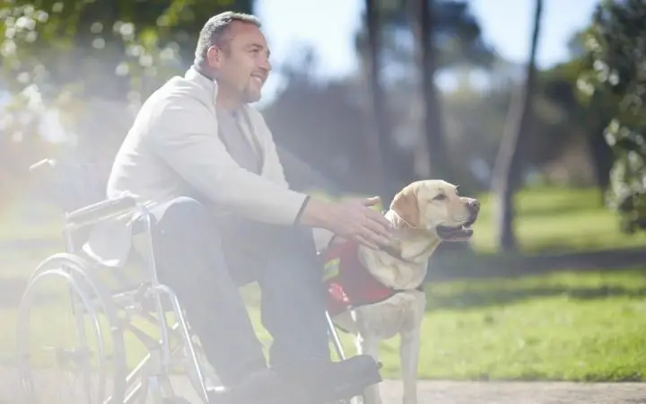 Silla de Ruedas Canina Grande