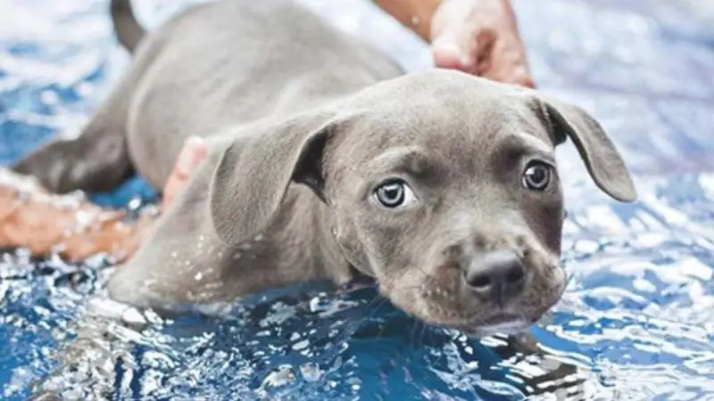 Beneficios de la Hidroterapia