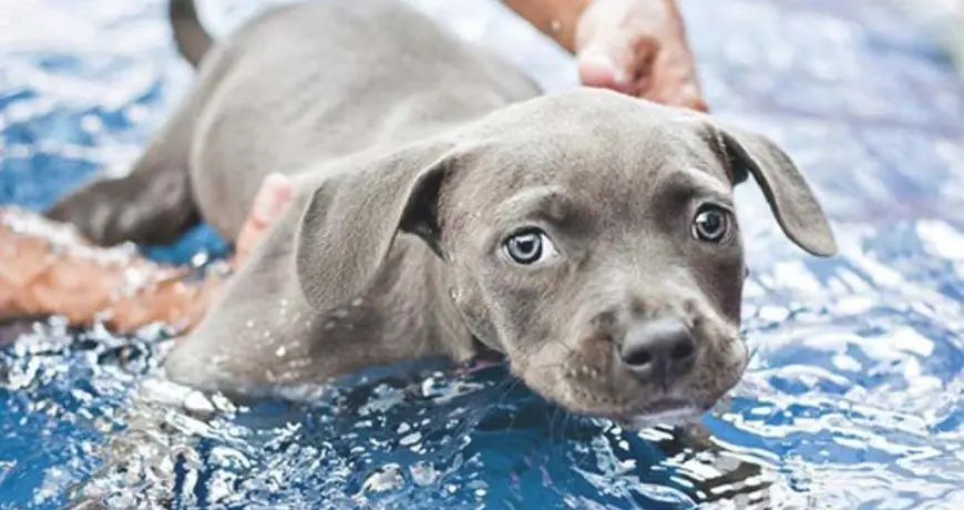 Beneficios de la Hidroterapia