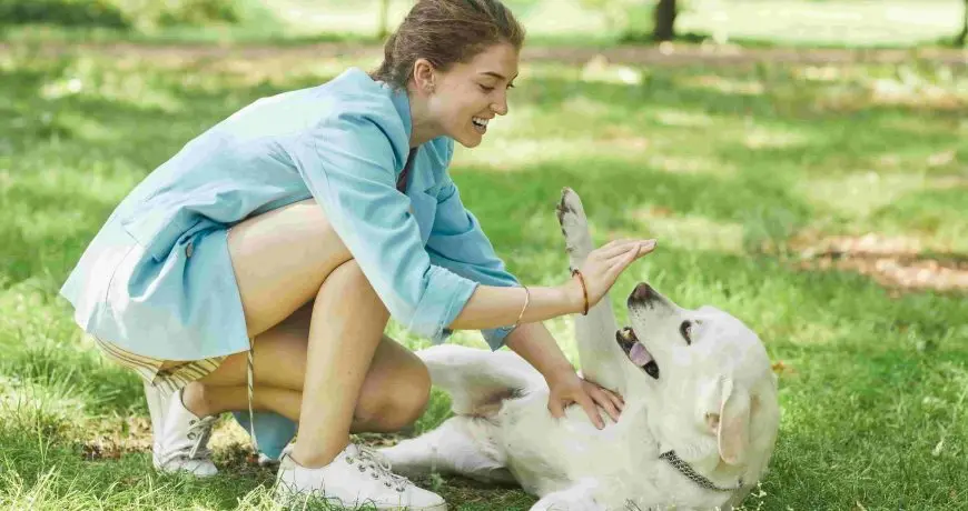 Trucos para Relajar a un Perro Nervioso