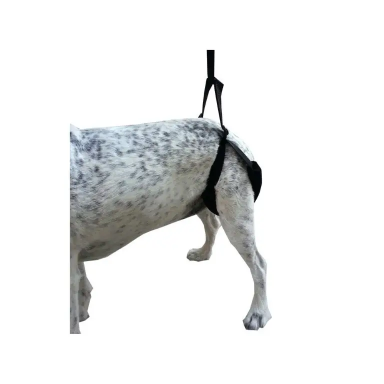 arnés para perros rehabilitación