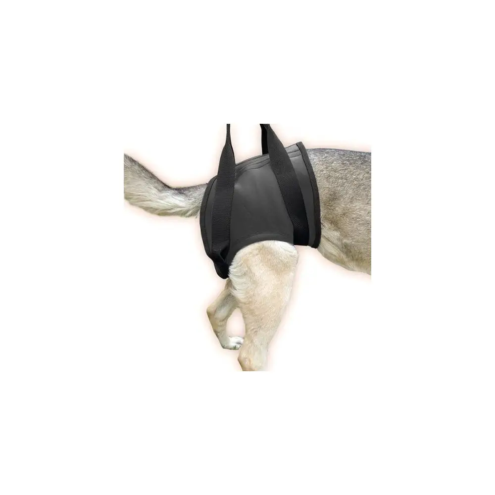 cual es el mejor arnes