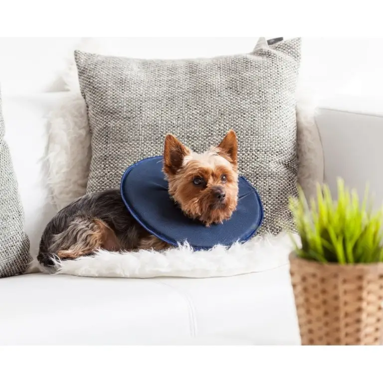 arnés para perros rehabilitación