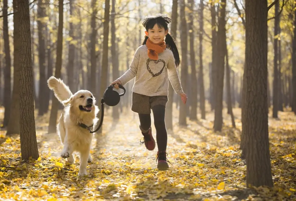 Cuidado de perros en casa