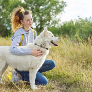 Recomendaciones básicas para el cuidado de perros