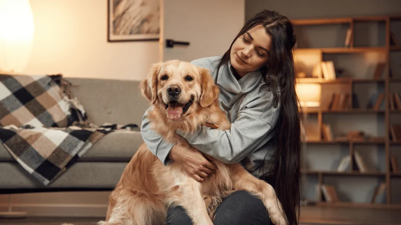 La Distrofia Muscular en Golden Retrievers: Una Enfermedad Muscular Hereditaria