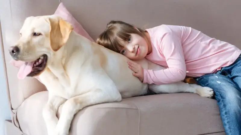 Síndrome de Wobbler en Perros: ¿Qué es y Cómo Puede Afectar a tu Compañero Canino?