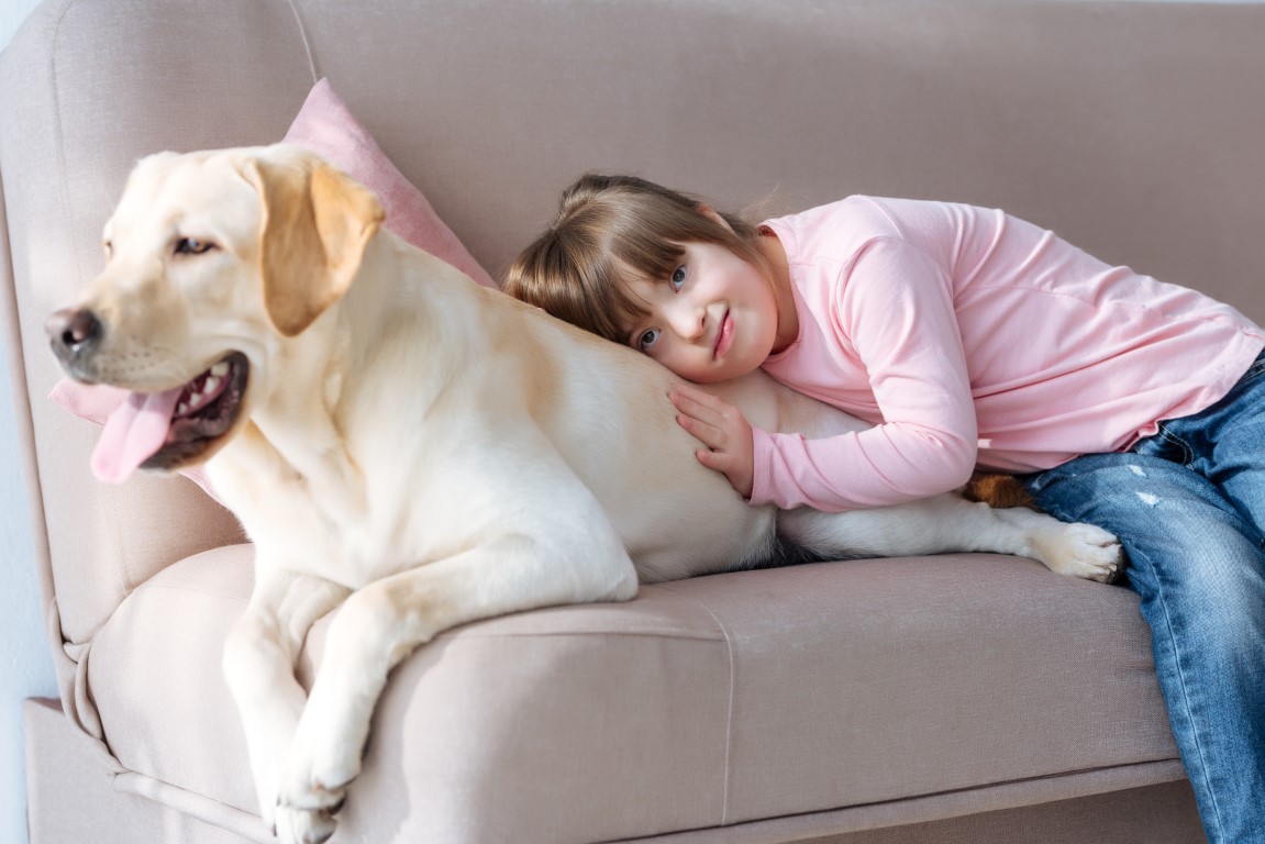 Síndrome de Wobbler en Perros: ¿Qué es y Cómo Puede Afectar a tu Compañero Canino?