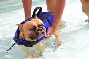 problemas de movilidad