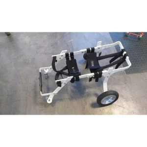 silla de ruedas perro